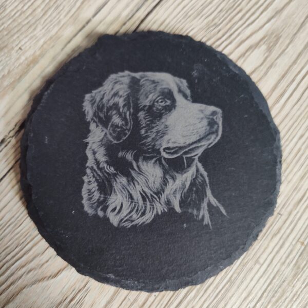 Slate Bernese Mountain Dog Coasters - Customizable
