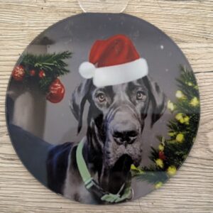 Custom Photo Ornament | Acrylic Keepsake Gift